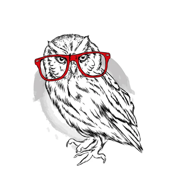 Gözlüklü bir baykuş görüntü kartı. Vektör çizim. Hipster kuş. Çizilmiş.