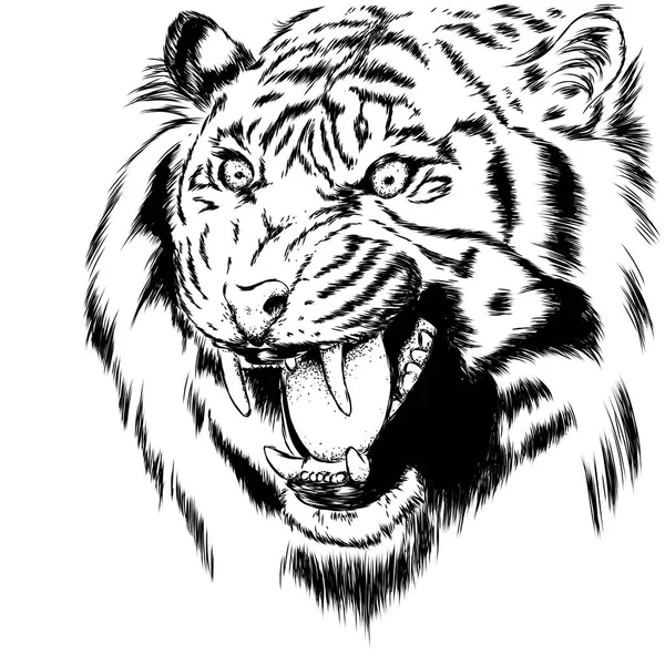 Hermoso Tigre Con Boca Abierta Colmillos Animal Salvaje Depredador Ilustración — Archivo Imágenes Vectoriales