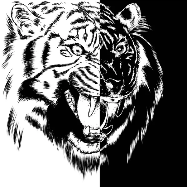Hermoso Tigre Con Boca Abierta Colmillos Animal Salvaje Depredador Ilustración — Archivo Imágenes Vectoriales