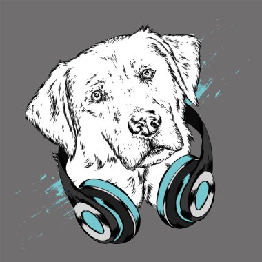 Köpek kulaklıklarla. Komik köpek yavrusu. Vektör çizim için tebrik kartı veya poster, elbiselere yazdırma.