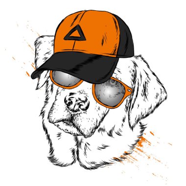 Sevimli köpek kap ve gözlük. Vektör çizim.