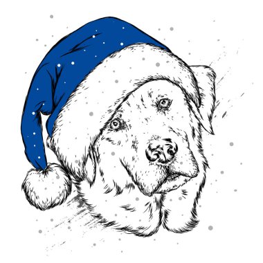 Noel şapka içinde belgili tanımlık köpek yavrusu. Noel Baba köpek. Yılbaşı ve Yeniyıl, kış tatili. Vektör çizim kartpostal veya giysi üzerine baskı için.