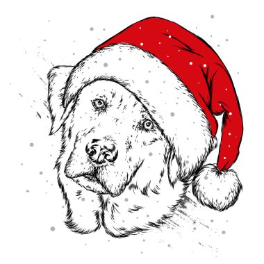 Noel şapka içinde belgili tanımlık köpek yavrusu. Noel Baba köpek. Yılbaşı ve Yeniyıl, kış tatili. Vektör çizim kartpostal veya giysi üzerine baskı için.