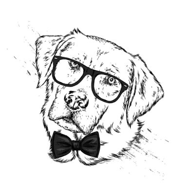 Bir köpek ya da gözlük ve kravat ile köpek yavrusu portresi. Vektör çizim için tebrik kartı veya poster, elbiselere yazdırma.