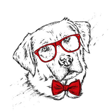 Portrait of a dog or puppy with glasses and tie. Vector illustration for greeting card or poster, print on clothes. clipart