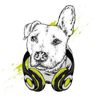 Köpek kulaklıklarla. Komik köpek yavrusu. Vektör çizim için tebrik kartı veya poster, elbiselere yazdırma.