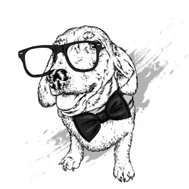 Bir köpek ya da gözlük ve kravat ile köpek yavrusu portresi. Vektör çizim için tebrik kartı veya poster, elbiselere yazdırma.