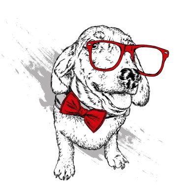 Bir köpek ya da gözlük ve kravat ile köpek yavrusu portresi. Vektör çizim için tebrik kartı veya poster, elbiselere yazdırma.