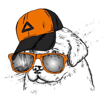 Sevimli köpek kap ve gözlük. Vektör çizim.