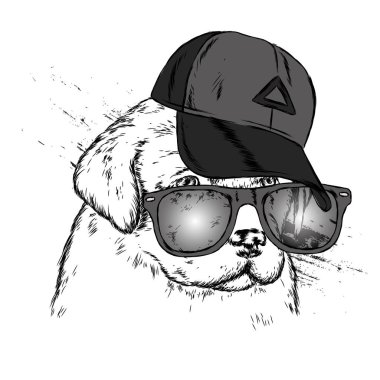 Sevimli köpek kap ve gözlük. Vektör çizim.