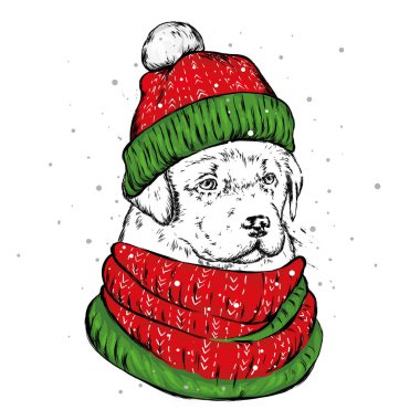 Noel şapka içinde belgili tanımlık köpek yavrusu. Noel Baba köpek. Yılbaşı ve Yeniyıl, kış tatili. Vektör çizim kartpostal veya giysi üzerine baskı için.