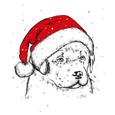 Noel şapka içinde belgili tanımlık köpek yavrusu. Noel Baba köpek. Yılbaşı ve Yeniyıl, kış tatili. Vektör çizim kartpostal veya giysi üzerine baskı için.
