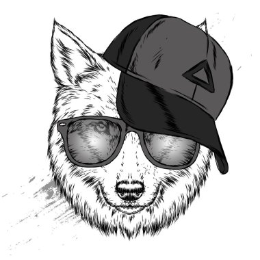 Kurt hippi bir kap ve gözlük. Güzel köpek. Kartpostal, elbiselere yazdırma için vektör çizim. Moda ve stil.
