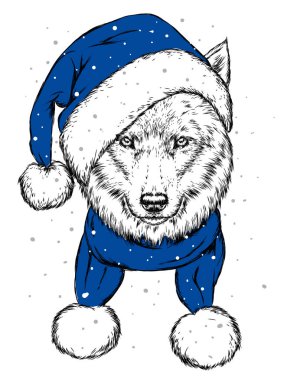 Noel şapka kurt. Noel Baba köpek. Yılbaşı ve Yeniyıl, kış tatili. Vektör çizim kartpostal veya giysi üzerine baskı için.