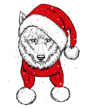 Noel şapka kurt. Noel Baba köpek. Yılbaşı ve Yeniyıl, kış tatili. Vektör çizim kartpostal veya giysi üzerine baskı için.
