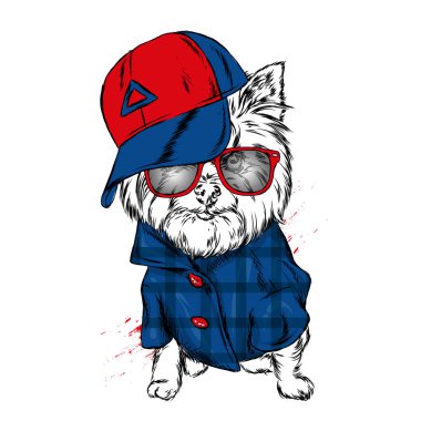 Sevimli köpek kap ve gözlük. Vektör çizim.