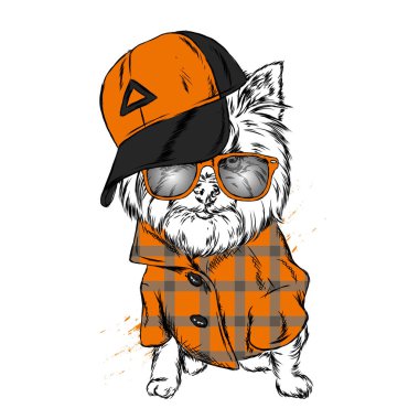 Sevimli köpek kap ve gözlük. Vektör çizim.