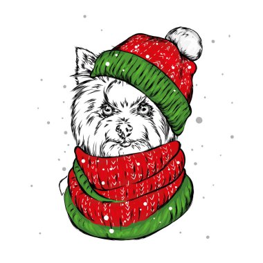 Noel şapka içinde belgili tanımlık köpek yavrusu. Noel Baba köpek. Yılbaşı ve Yeniyıl, kış tatili. Vektör çizim kartpostal veya giysi üzerine baskı için.