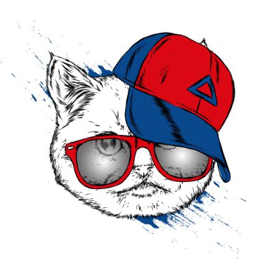 Kedi bir kap ve gözlük. Hippi. Çizilmiş vektör çizim.