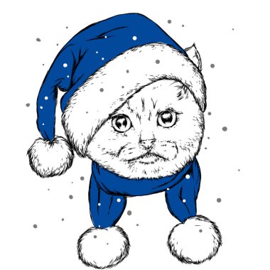 Komik kedi bir Noel şapka ve atkı. Vektör çizim kartı veya poster, elbiselere yazdırma için. Yeni yıl ve Noel. Çizilmiş.