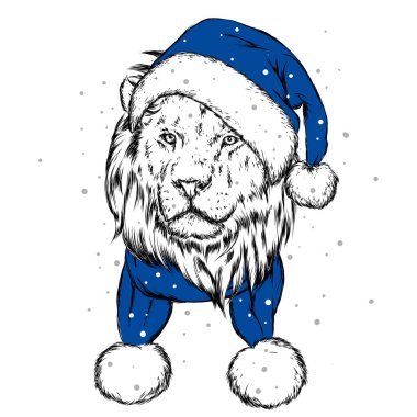 Güzel aslan bir kış şapka ve atkı. Yılbaşı ve Yeniyıl, Noel Baba. Vektör çizim kartpostal veya poster, giyim ve Aksesuar için yazdırma için.