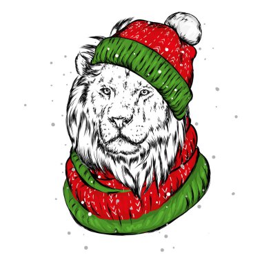 Güzel aslan bir kış şapka ve atkı. Yılbaşı ve Yeniyıl, Noel Baba. Vektör çizim kartpostal veya poster, giyim ve Aksesuar için yazdırma için.