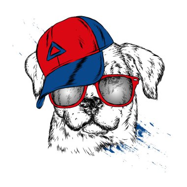 Sevimli köpek kap ve gözlük. Vektör çizim.