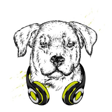 Köpek kulaklıklarla. Komik köpek yavrusu. Vektör çizim için tebrik kartı veya poster, elbiselere yazdırma.
