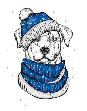 Noel şapka içinde belgili tanımlık köpek yavrusu. Noel Baba köpek. Yılbaşı ve Yeniyıl, kış tatili. Vektör çizim kartpostal veya giysi üzerine baskı için.