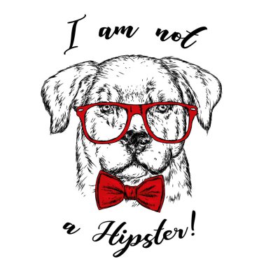 Bir köpek ya da gözlük ve kravat ile köpek yavrusu portresi. Vektör çizim için tebrik kartı veya poster, elbiselere yazdırma.