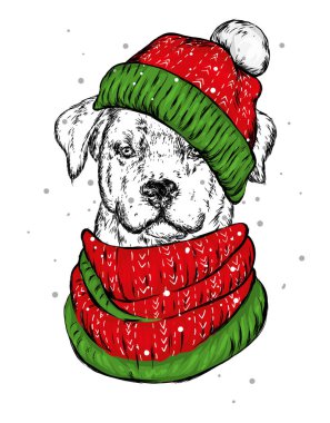 Noel şapka içinde belgili tanımlık köpek yavrusu. Noel Baba köpek. Yılbaşı ve Yeniyıl, kış tatili. Vektör çizim kartpostal veya giysi üzerine baskı için.