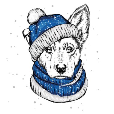 Noel şapka içinde belgili tanımlık köpek yavrusu. Noel Baba köpek. Yılbaşı ve Yeniyıl, kış tatili. Vektör çizim kartpostal veya giysi üzerine baskı için.