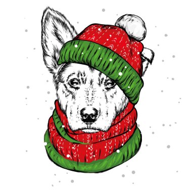 Noel şapka içinde belgili tanımlık köpek yavrusu. Noel Baba köpek. Yılbaşı ve Yeniyıl, kış tatili. Vektör çizim kartpostal veya giysi üzerine baskı için.