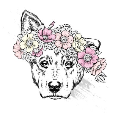 Yabani gül çelenk güzel bir köpek. Vektör çizim kartpostal veya poster, giysiler için yazdırma için. Bahar ve yaz, bir buket çiçek. Vintage ve retro. Hippi. Şirin köpek yavrusu.