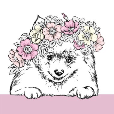 Yabani gül çelenk güzel bir köpek. Vektör çizim kartpostal veya poster, giysiler için yazdırma için. Bahar ve yaz, bir buket çiçek. Vintage ve retro. Hippi. Şirin köpek yavrusu.