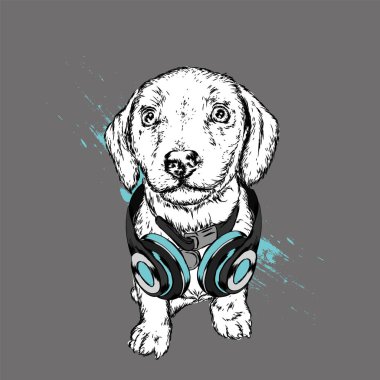 Köpek kulaklıklarla. Komik köpek yavrusu. Vektör çizim için tebrik kartı veya poster, elbiselere yazdırma.