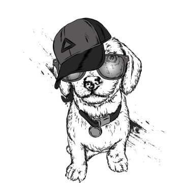 Sevimli köpek kap ve gözlük. Vektör çizim.