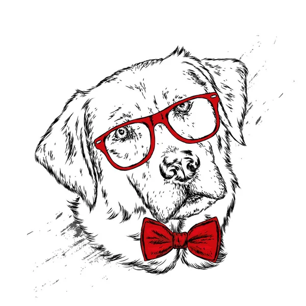 Retrato Cachorro Cachorro Com Óculos Gravata Ilustração Vetorial Para Cartão — Vetor de Stock