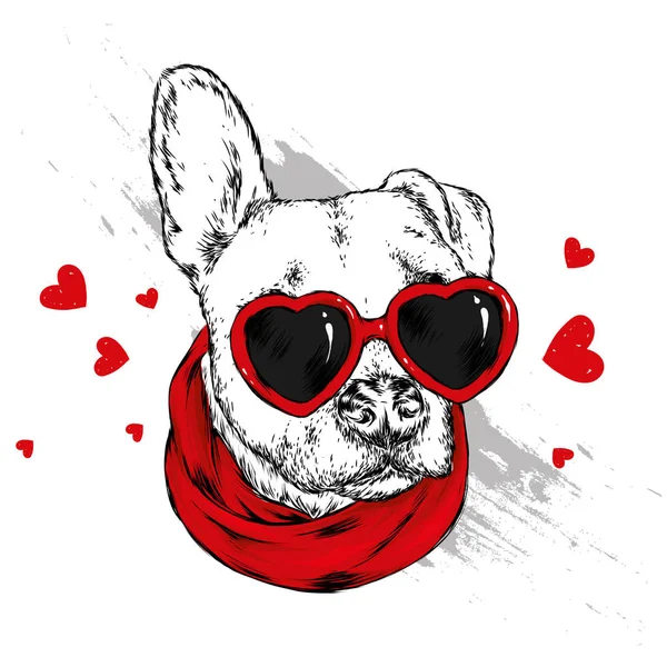 Bir köpek ya da köpekle portresi kalp şeklinde gözlük. Vektör çizim için tebrik kartı veya poster, elbiselere yazdırma.