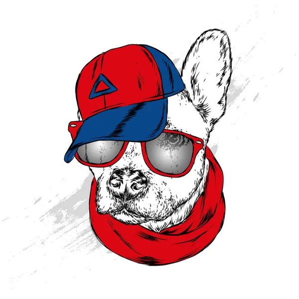 Cute Dog Cap Glasses Vector Illustration — Stock Vector