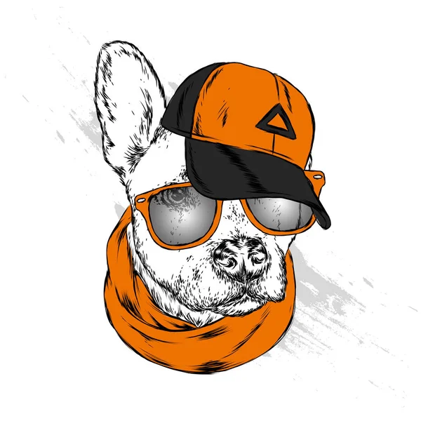 Schattige Hond Cap Glazen Vectorillustratie — Stockvector