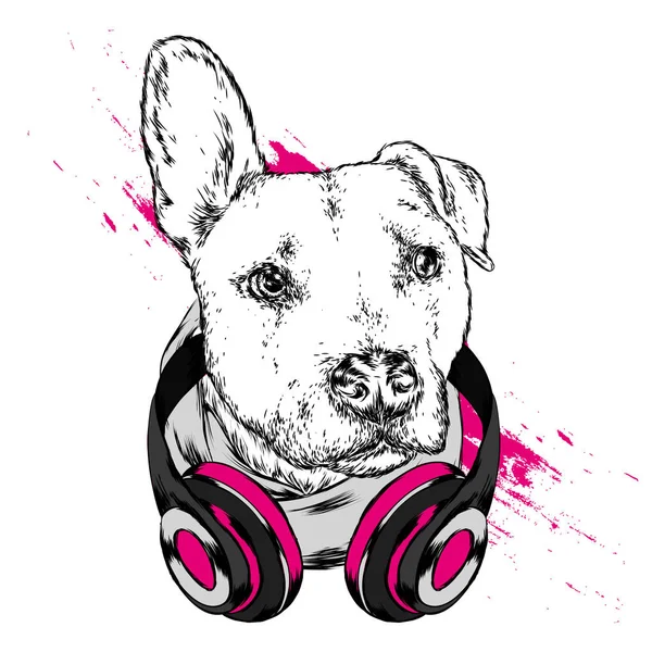 Chien Avec Casque Drôle Chiot Illustration Vectorielle Pour Carte Vœux — Image vectorielle