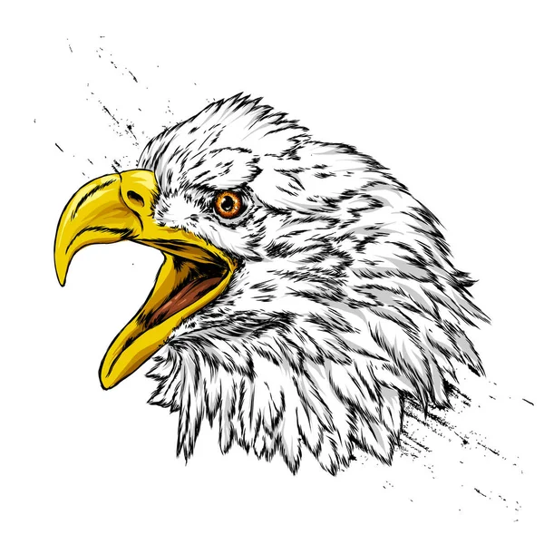 Hermoso Águila Fondo Bandera Americana Halcón Halcón Pájaro Predador América — Archivo Imágenes Vectoriales