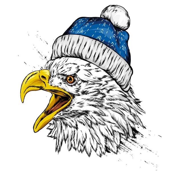 冬の帽子の美しいイーグル ハヤブサ 略奪する鳥 アメリカ ポストカードやポスター 服のプリントのベクトル イラスト クリスマスと新年 サンタ クロース — ストックベクタ