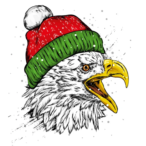 Kış şapkalı güzel kartal. Hawk veya Şahin. Yırtıcı Kuş. Amerika. Vektör çizim kartpostal veya poster, giysiler için yazdırma için. Amerika Birleşik Devletleri. Noel ve yeni yıl, Noel Baba.