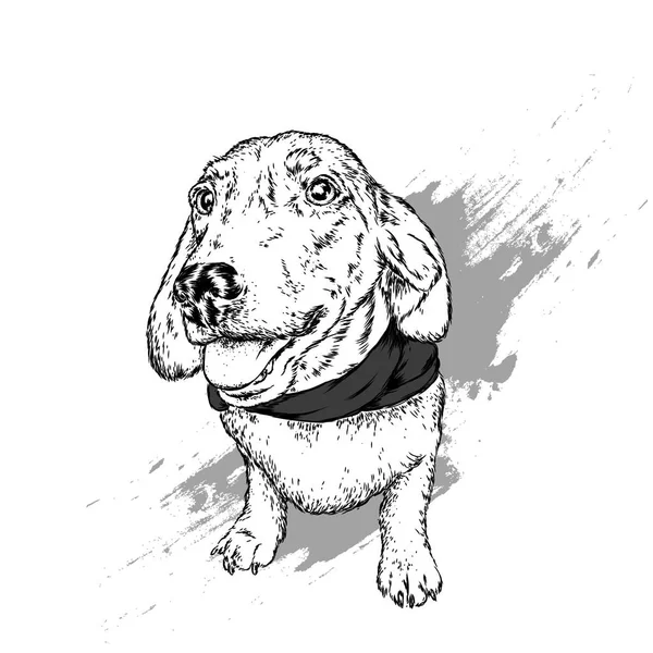 Retrato Perro Cachorro Ilustración Vectorial Para Tarjeta Felicitación Póster Impresión — Vector de stock