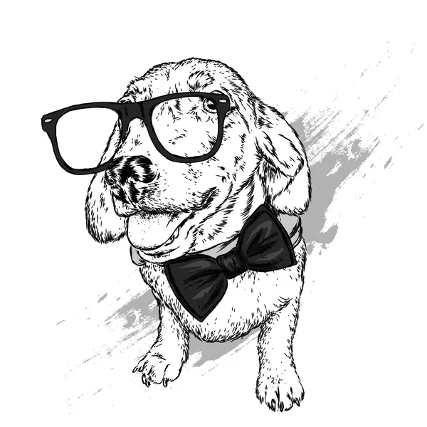 Bir köpek ya da gözlük ve kravat ile köpek yavrusu portresi. Vektör çizim için tebrik kartı veya poster, elbiselere yazdırma.