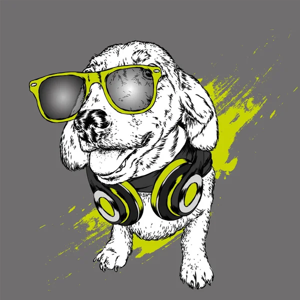 Pies Słuchawki Funny Puppy Ilustracja Wektorowa Życzeniami Lub Plakat Nadruk — Wektor stockowy