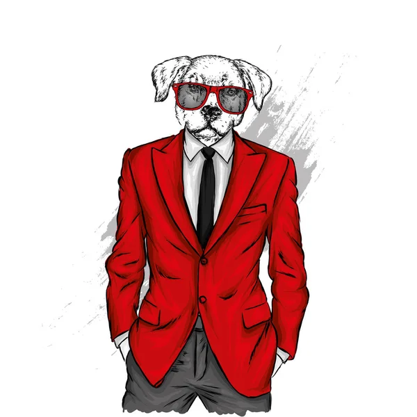 Perro Con Cuerpo Humano Una Chaqueta Ilustración Vectorial Hipster Ropa — Vector de stock