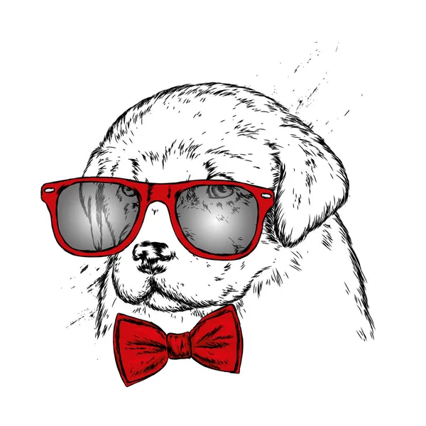 Bir Köpek Gözlük Kravat Ile Köpek Yavrusu Portresi Vektör Çizim — Stok Vektör